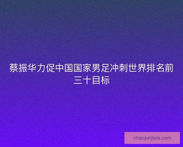 蔡振华力促中国国家男足冲刺世界排名前三十目标